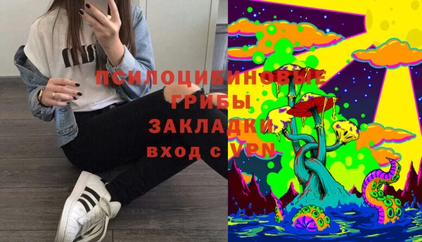 тгк Белокуриха