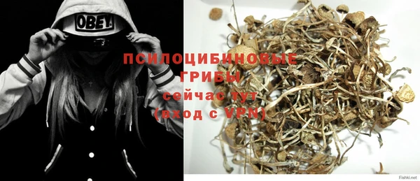 винт Баксан