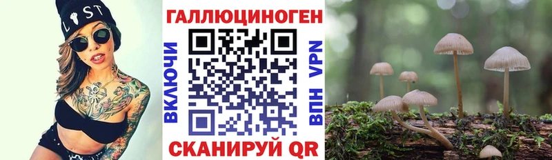 Псилоцибиновые грибы прущие грибы  Горно-Алтайск 