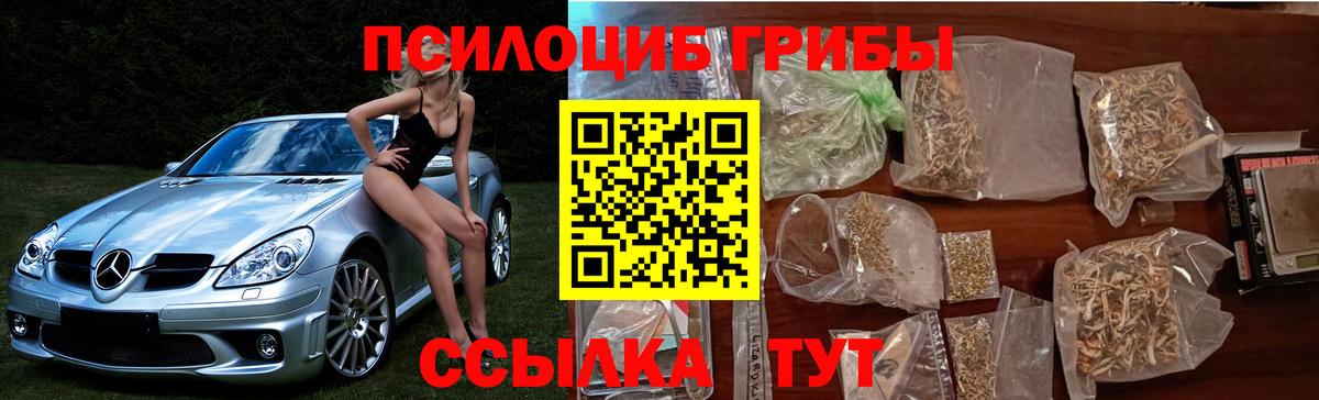 Горно-Алтайск  Псилоцибиновые грибы MAGIC MUSHROOMS  где найти   Вход с VPN 