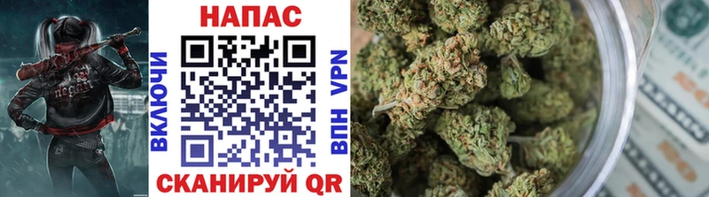 Бошки марихуана THC 21%  где найти   Горно-Алтайск 